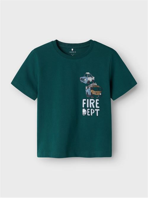  NAME.IT | 13241059/Forest Biome